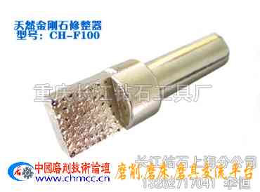 无心磨砂轮修整器:型号CH-F100 无心磨砂轮修整器:型号CH-F100